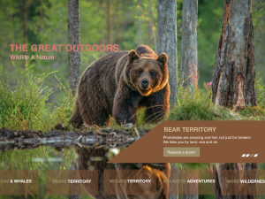 Film & Photography Projects Daily Rate